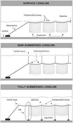 Status of off-bottom mariculture in wave-exposed environments. Part 2. Comparative loading and motion of longline designs currently used in exposed commercial farms